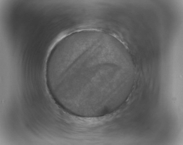 X0000068270006200605121858