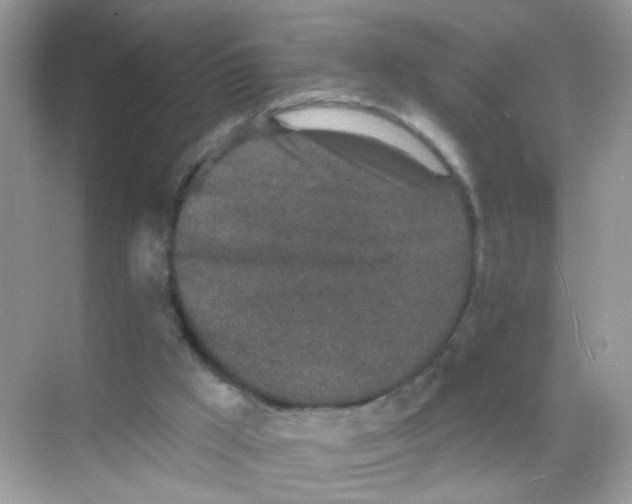 X0000068270009200605121858