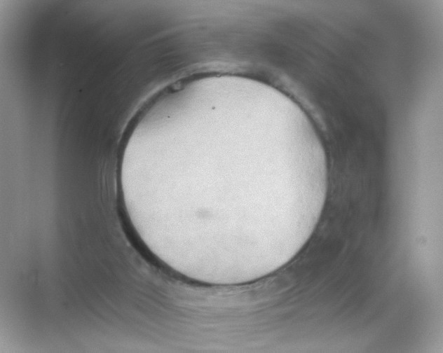 X0000068270011200605121858