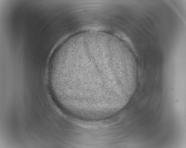 X0000068270012200605121858