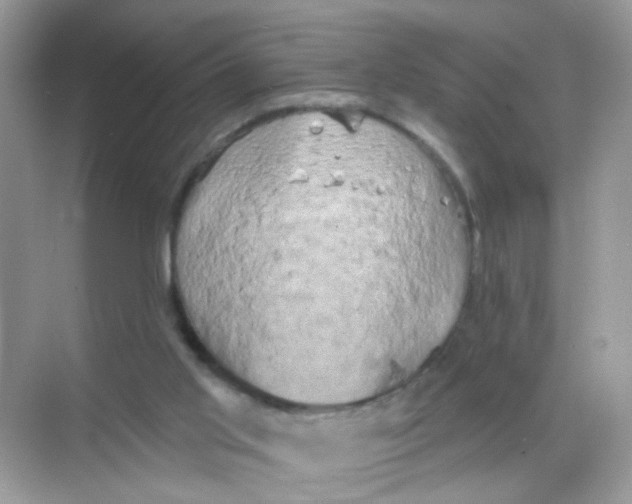 X0000068270013200605121858