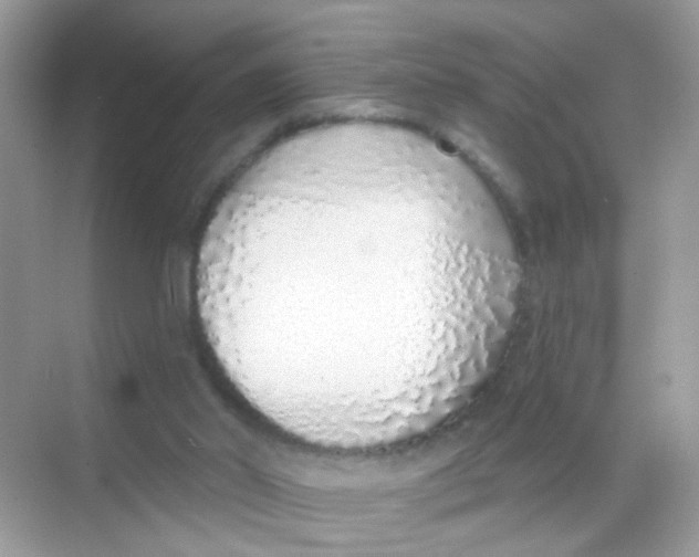 X0000068270014200605121858