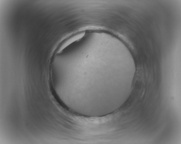 X0000068270015200605121858