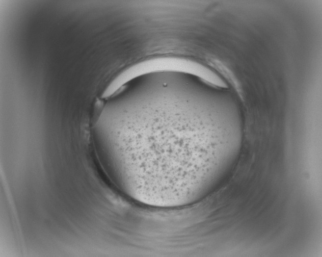 X0000068270017200605121858