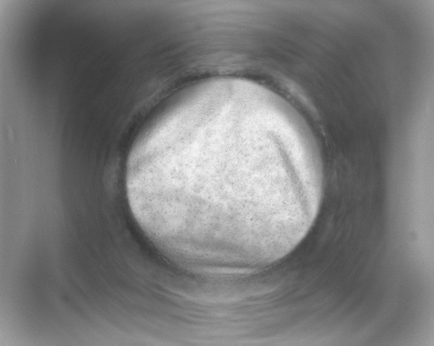 X0000068270018200605121858