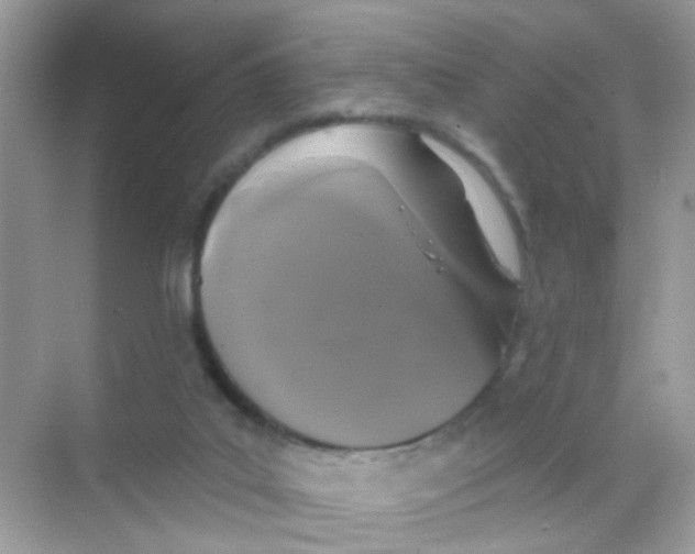 X0000068270019200605121858