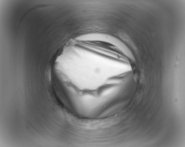 X0000068270021200605121858