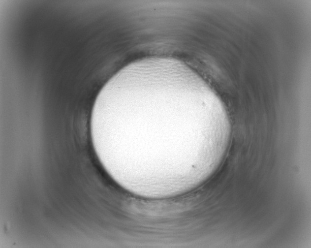 X0000068270022200605121858