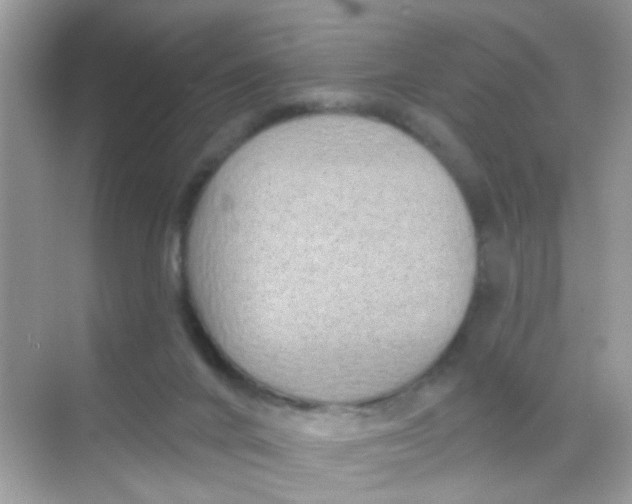 X0000068270024200605121858