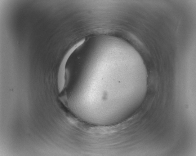 X0000068270025200605121858