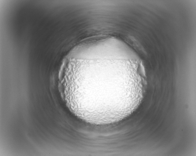 X0000068270026200605121858