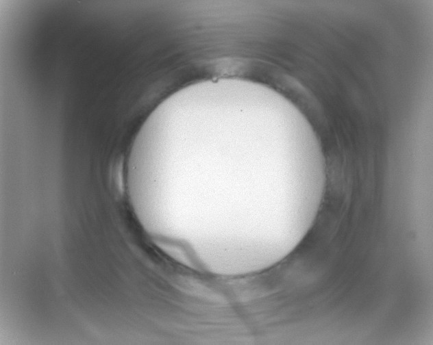 X0000068270028200605121857