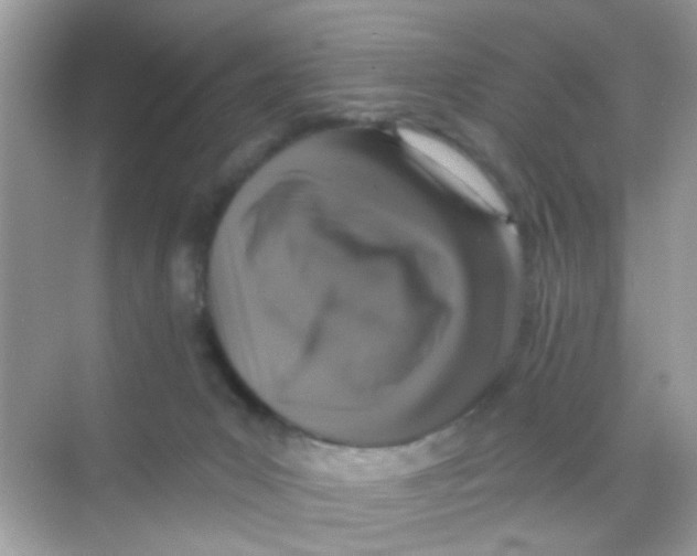 X0000068270031200605121857