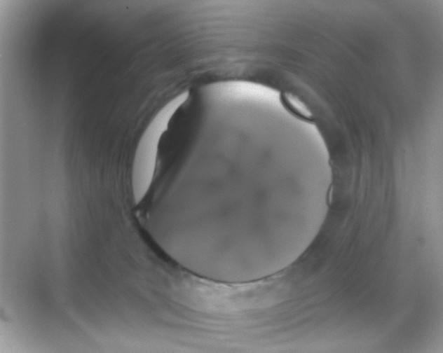 X0000068270035200605121857