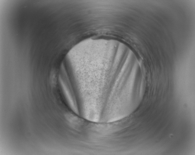 X0000068270037200605121857