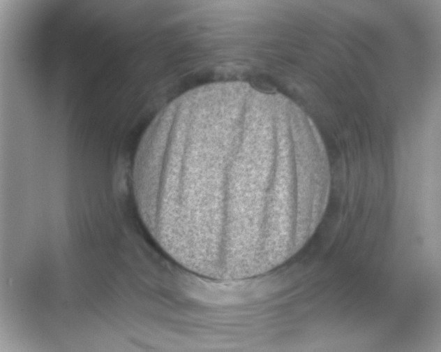 X0000068270038200605121857