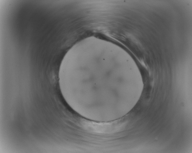 X0000068270039200605121857