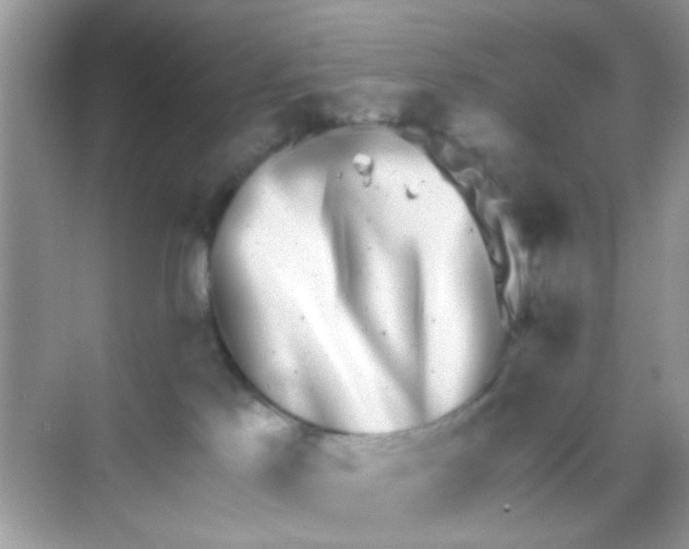 X0000068270041200605121857