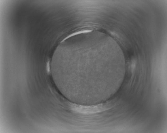 X0000068270042200605121857