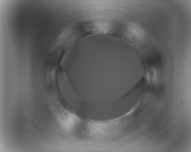 X0000068270045200605121857