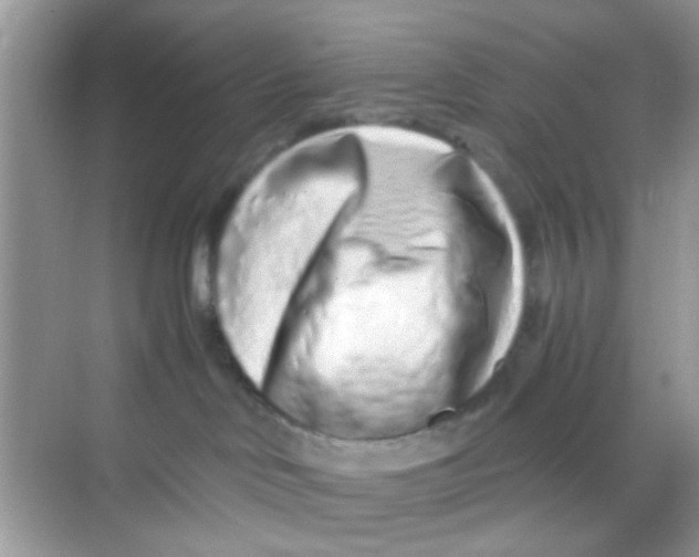 X0000068270046200605121857