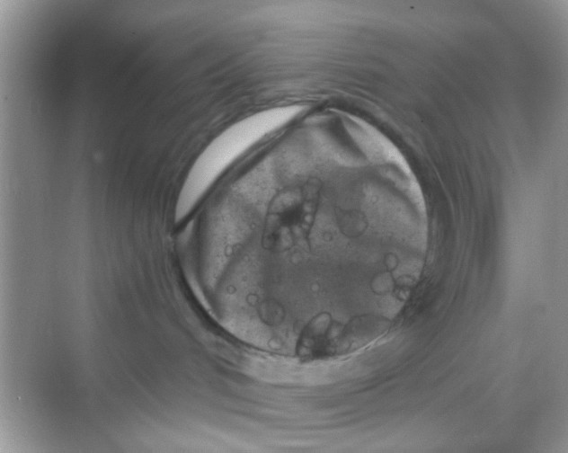 X0000068270048200605121857