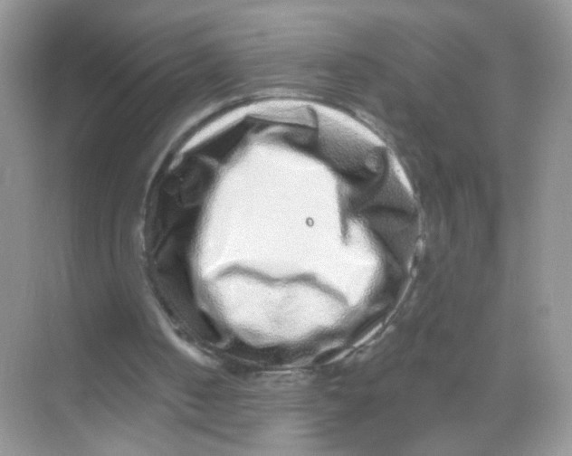 X0000068270050200605121856