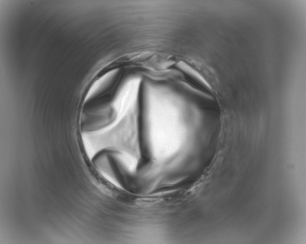 X0000068270051200605121856