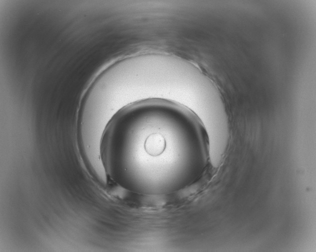 X0000068270052200605121856