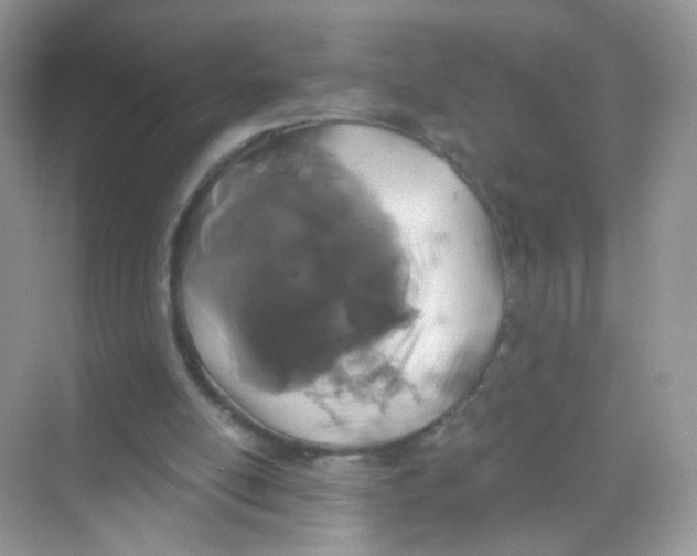 X0000068270054200605121856