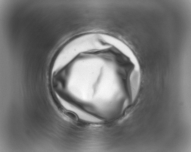 X0000068270055200605121856