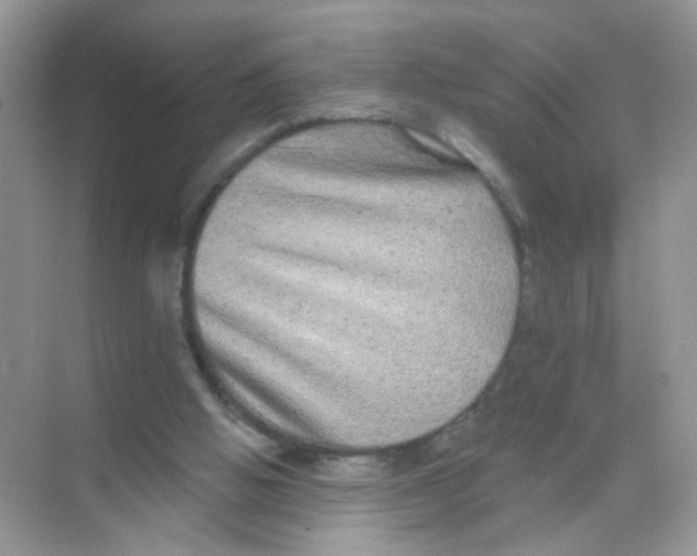 X0000068270058200605121856