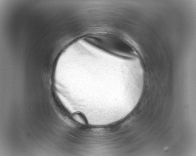 X0000068270059200605121857