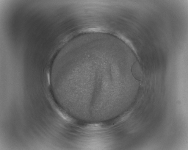 X0000068270061200605121857