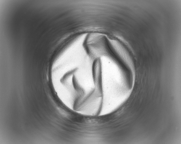 X0000068270062200605121857