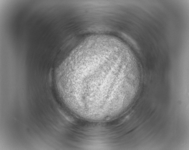 X0000068270065200605121857