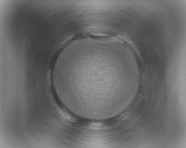 X0000068270066200605121857