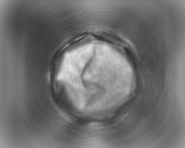 X0000068270067200605121857