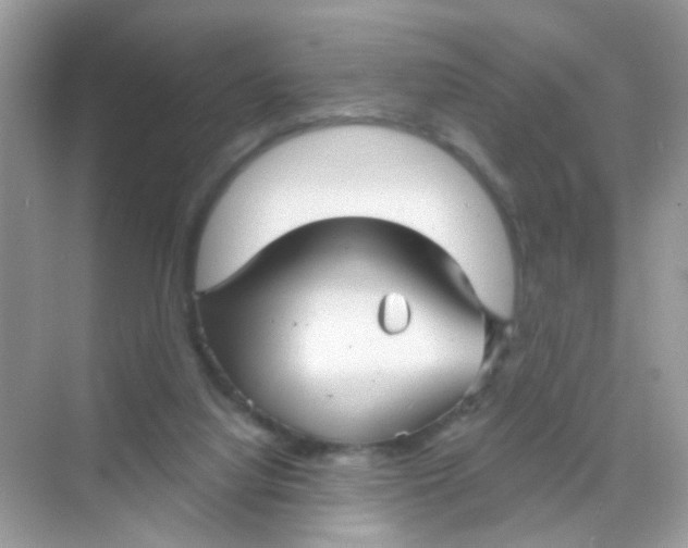 X0000068270068200605121857