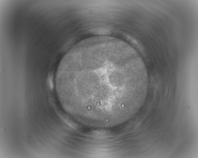 X0000068270069200605121857