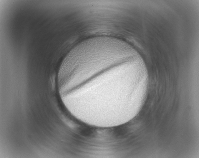 X0000068270070200605121857