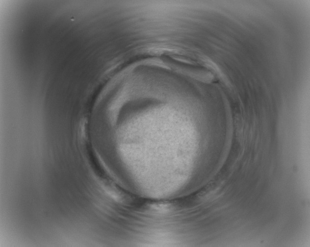 X0000068270071200605121857