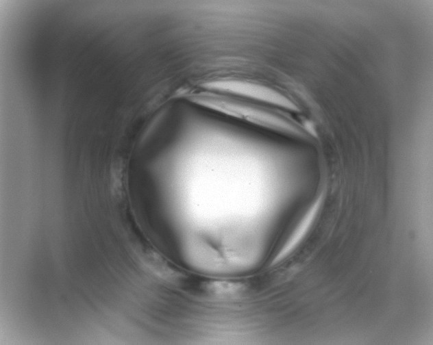 X0000068270073200605121857