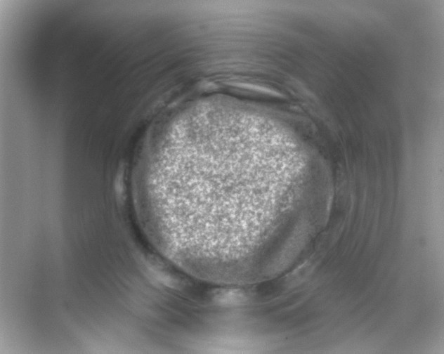 X0000068270074200605121857