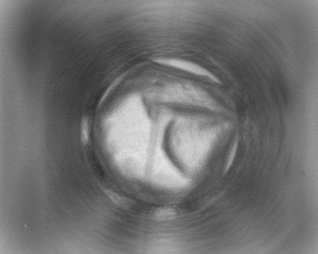 X0000068270075200605121857