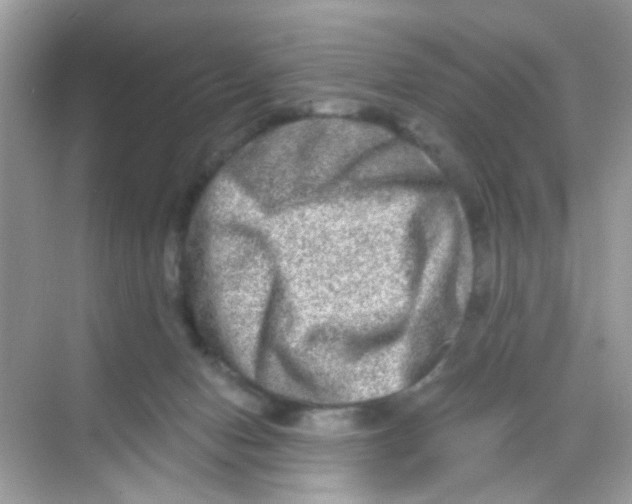 X0000068270078200605121857