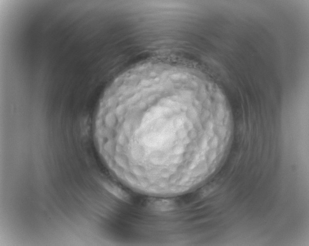 X0000068270081200605121857