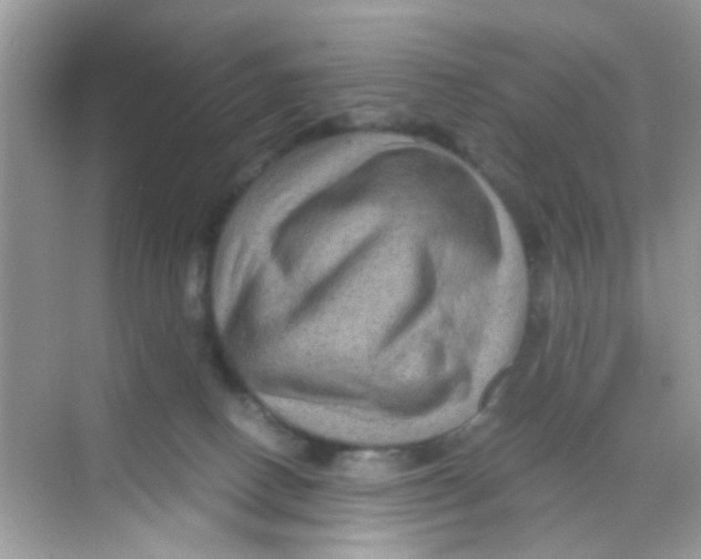 X0000068270082200605121857