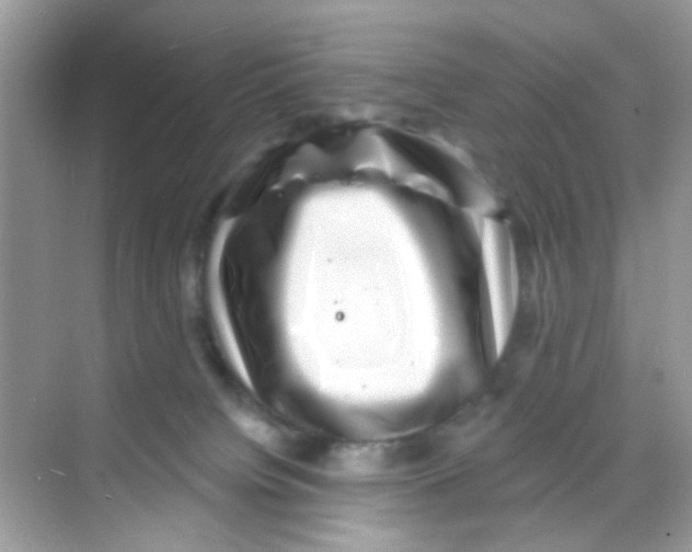 X0000068270084200605121857