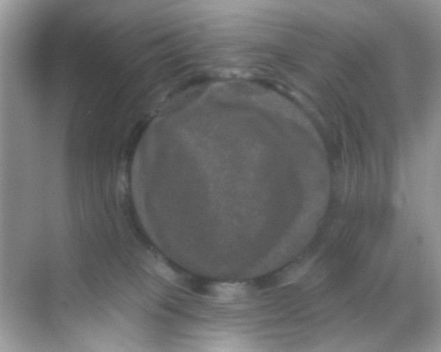 X0000068270085200605121857